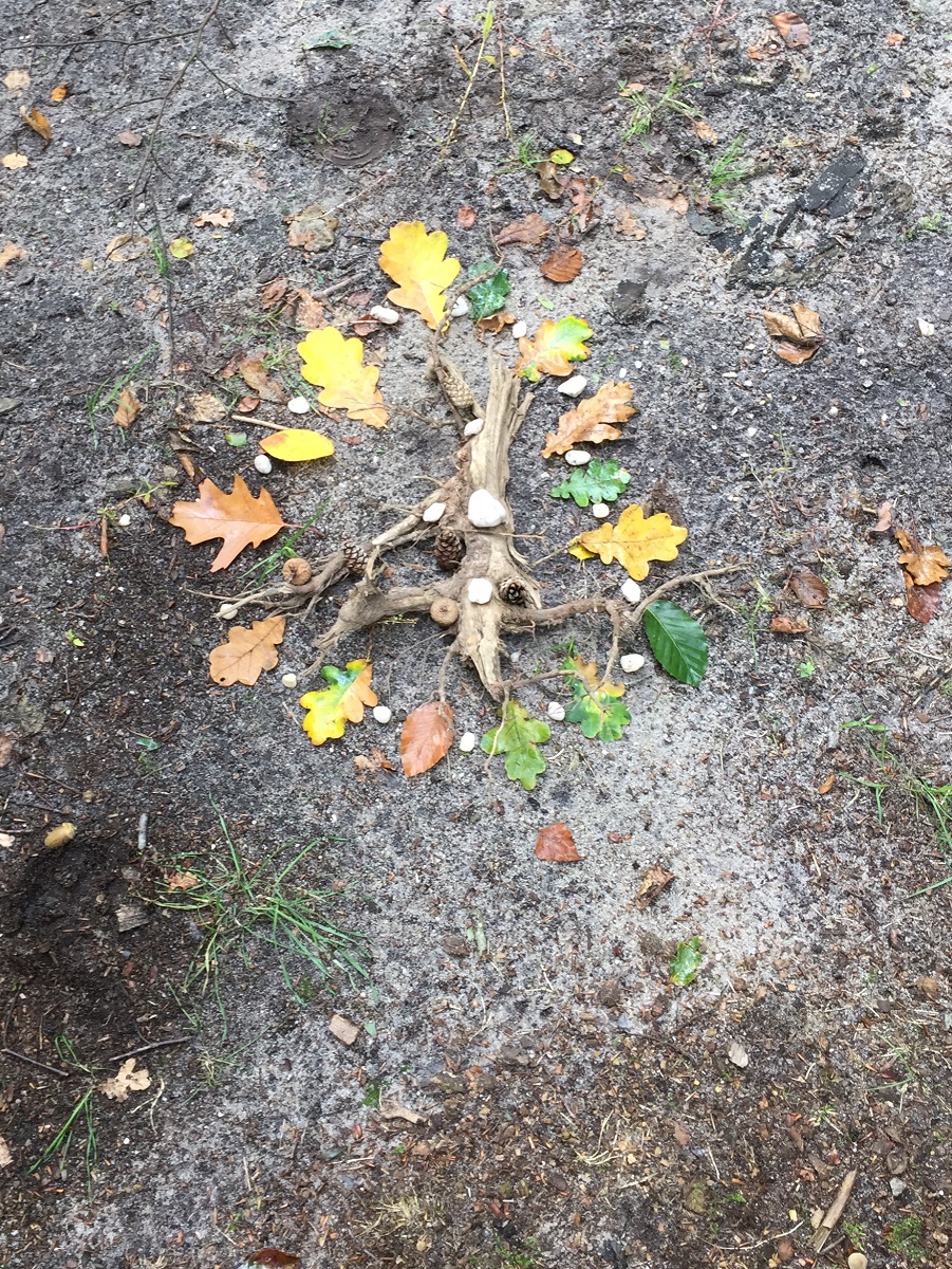 Oogsten en loslaten - Herfst Expeditie Flow