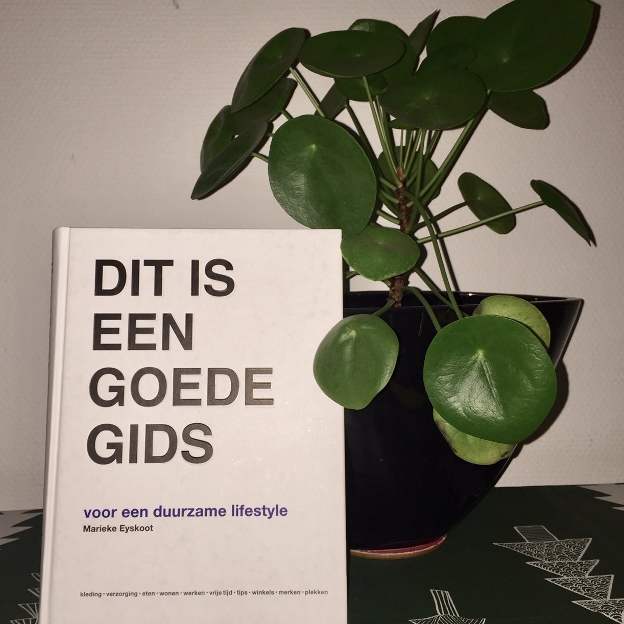 Geen goede voornemens, wel nieuwe doelen voor 2019